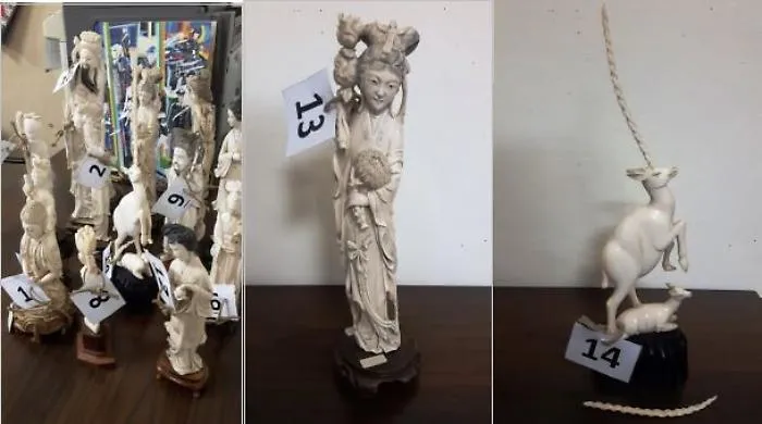 Catania, sequestrate a un antiquario 124 statuette di avorio &ldquo;fuorilegge&rdquo;