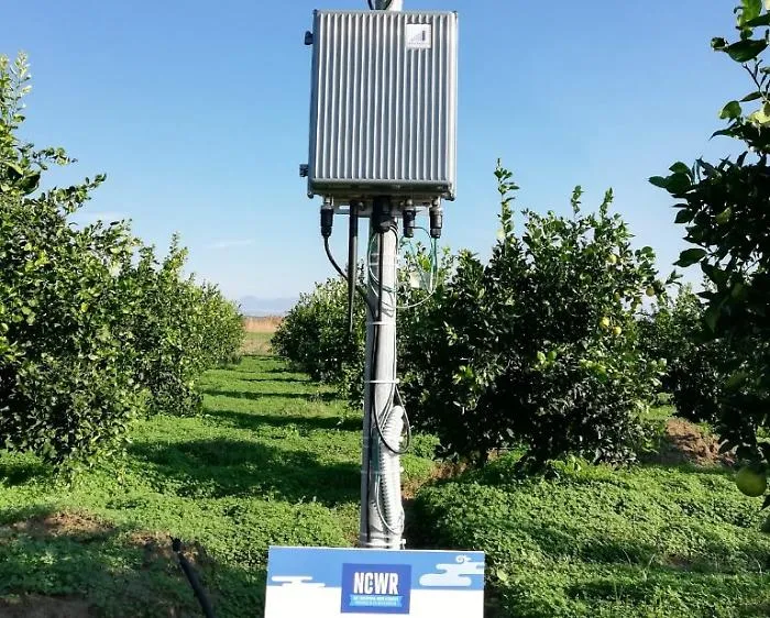 Risparmio dell'acqua in agrumicolura e &ldquo;tetti verdi&rdquo;: con NCWR due progetti hi-tech per Catania
