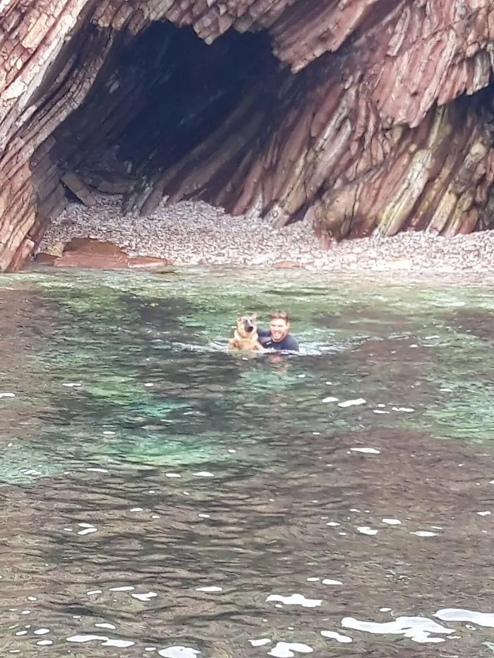 Terrasini: salvato cucciolo di cane dalle acque gelide del golfo dagli uomini della Capitaneria di Porto
