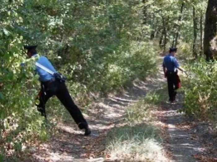 Carabinieri salvano nonno e nipotine dispersi nei boschi del Messinese