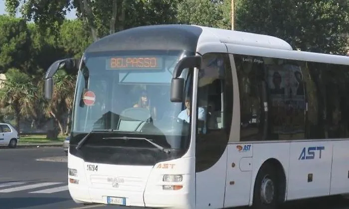 Ast, le parcelle d&rsquo;orodel &ldquo;socio&rdquo; Montante