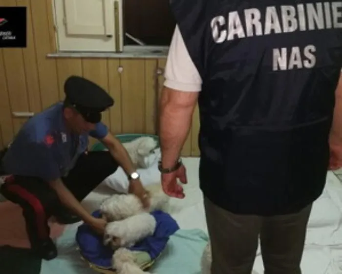 Catania, ancora alimenti scadutie non tracciabili nel locale &ldquo;in&rdquo;