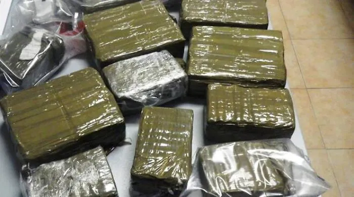 Alcamo, sequestrata droga in casa di fiancheggiatore del boss Melodia