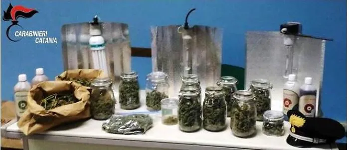 Un chilo di marijuana nascosto negli sportelli della cucina: americano arrestato