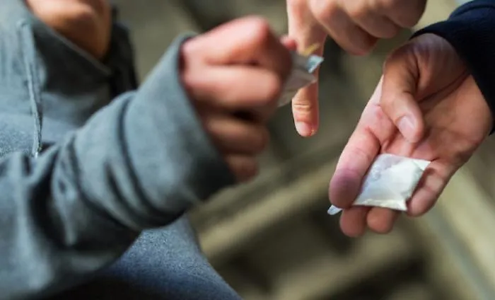 Coca e marijuana tra movida e scuole: i giovani pusher della costa tirrenica