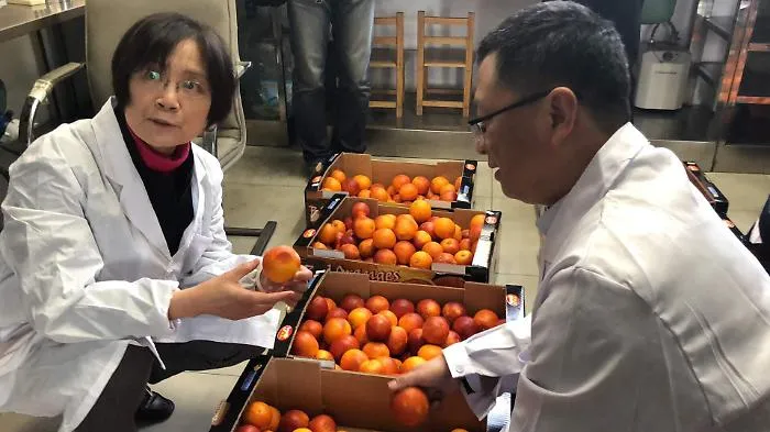 La siciliana Oranfrizer premiata per aver aperto alla Cina il mercato delle arance rosse