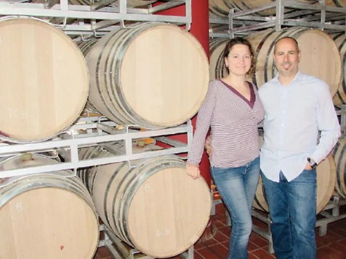 Ecco tutti i vini siciliani a 5 stelle del Vinitaly