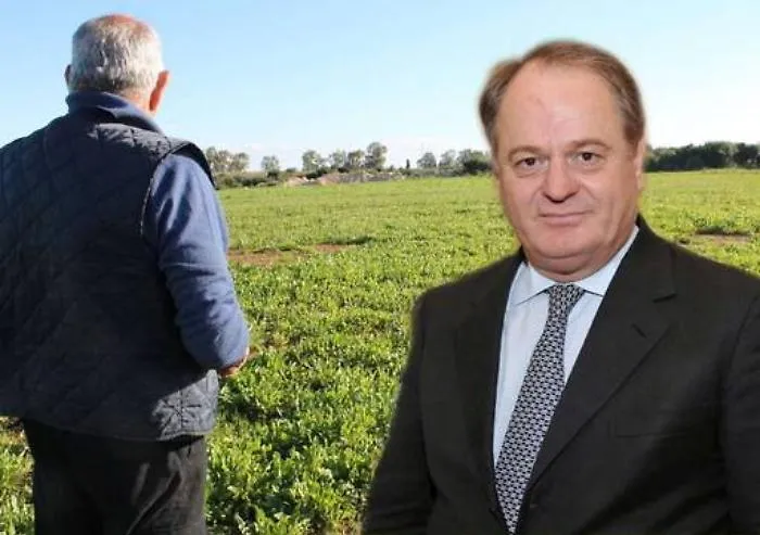 Agricoltura in Sicilia, l&rsquo;assessore Cracolici &laquo;A inizio 2016 i bandi per attivare la spesa&raquo;