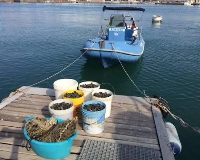 Catania, pescavano cozze all&rsquo;interno del porto: multati