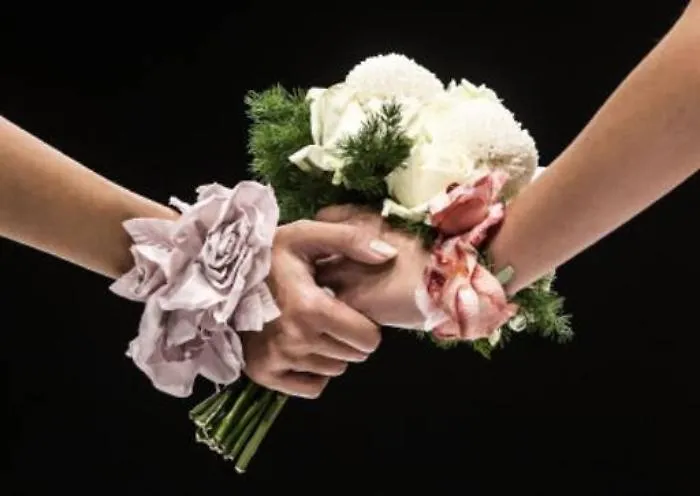 Coppia gay si separa: anche madre non biologica potr&agrave; vedere i figli