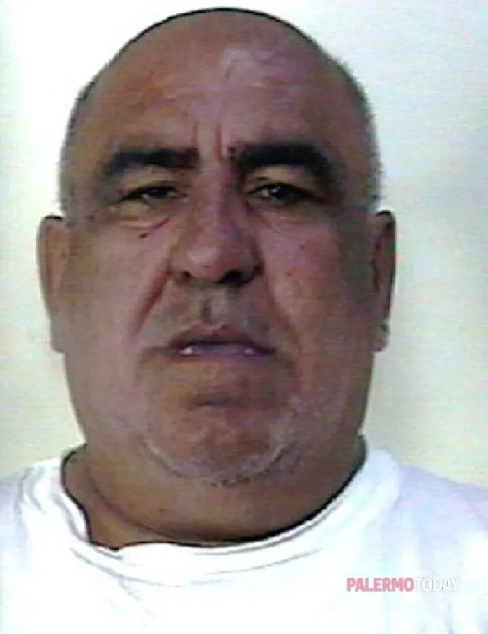 Gino Abbate