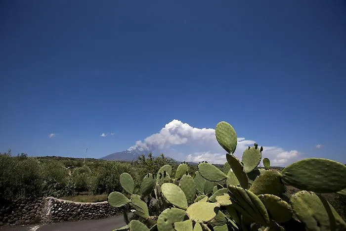 Prosegue attivit&agrave; stromboliana su Etna Resta nube di cenere lavica