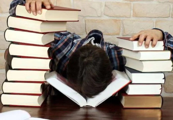 La Formazione professionale in Sicilia &laquo;I corsi al via ad agosto... Speriamo&raquo;