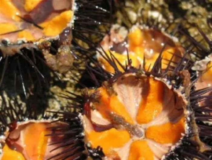 Quanto ci costa  (in ecosostenibilit&agrave;) un gustoso piatto di spaghetti a ricchi