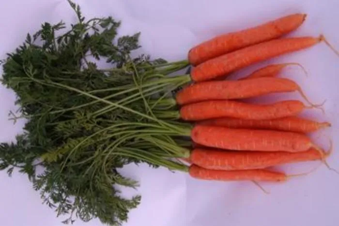 Agricoltori, &egrave; s&igrave; alla vendita diretta di prodotti della terra e trasformati
