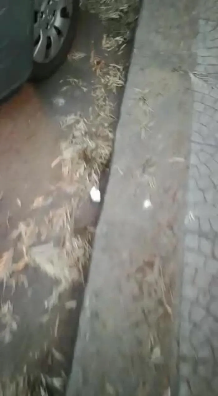 6552480-WhatsAppVideo2021-04-26at194137mp4_1620739239187