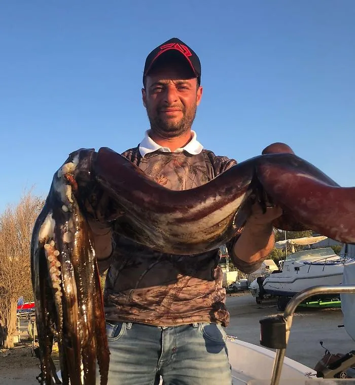 Totano gigante pescato a siracusa