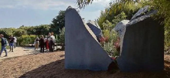 Piante