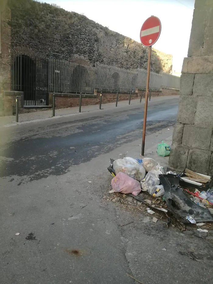 Rifiuti in via teatro Greco Catania