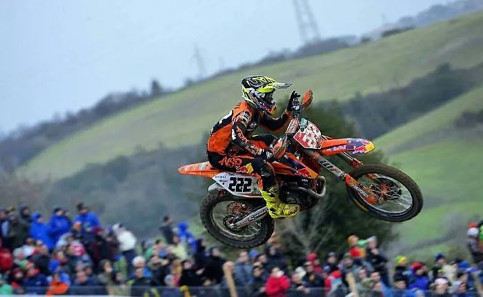 CAIROLI502