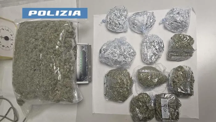 LA-SQUADRA-MOBILE-ARRESTA-UN-PUSHER.-SEQUESTRATA-OLTRE-15-KG.-DI-MARIJUANA-2
