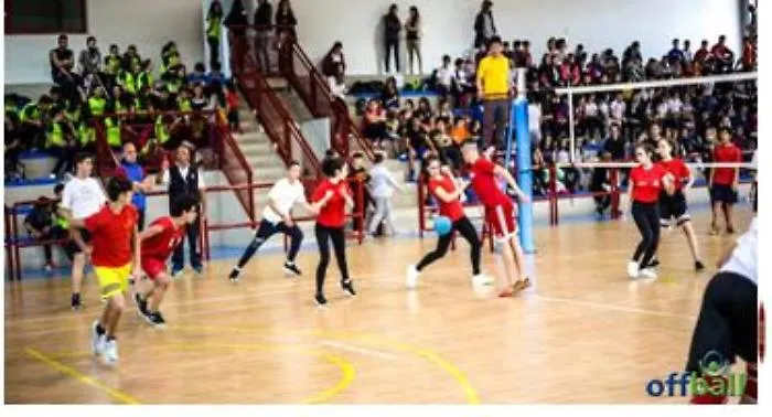 offball 24