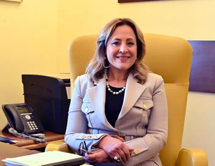 Rosanna Natoli, consigliere Csm