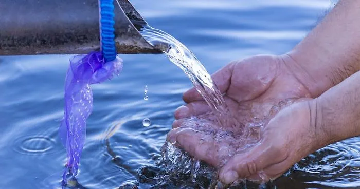 Water,Resources,In,The,Nature