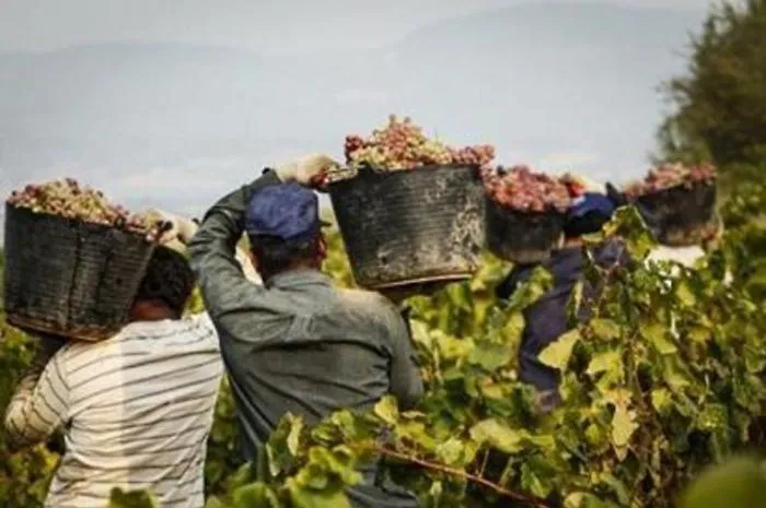 Il Governo Meloni apre le porte a 500mila lavoratori stranieri: come cambia il decreto flussi
