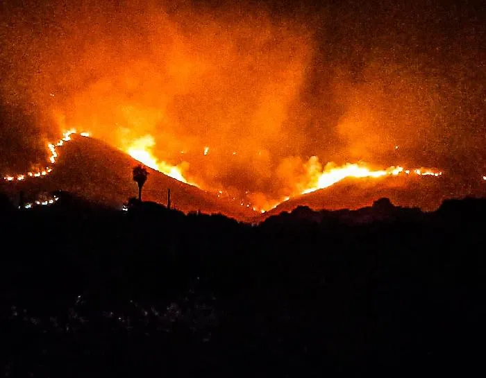 zingaro incendio