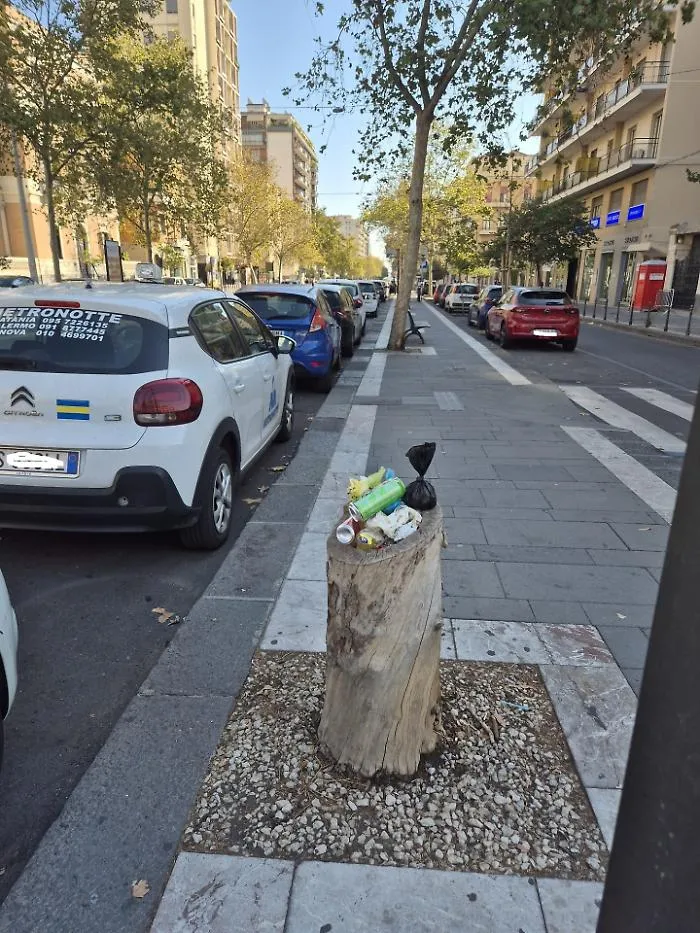 Catania, i tronchi diventano cestini