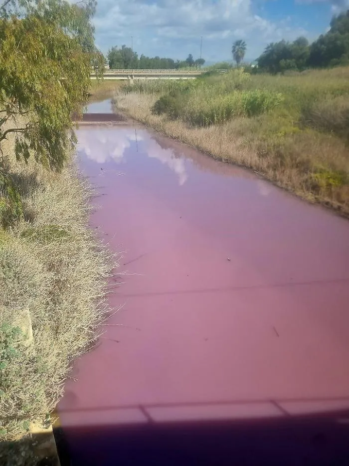 Il fiume Gela si colora di rosa: cattivo odore e allarme inquinamento