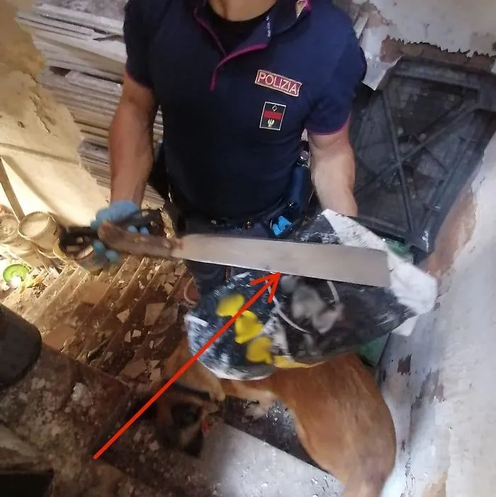 Max blitz della Polizia da San Berillo al Faro Biscari: sanzioni a due attivit&agrave; commerciali e un machete sequestrato