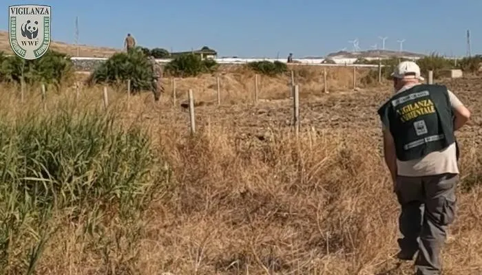Bracconaggio in Sicilia: il Wwf denuncia il "Far West" della Piana di Gela