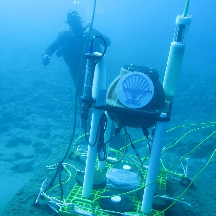 Nel Mar Ionio il primo sistema europeo che ascolta la voce del mare, dal canto dei gamberetti all'impatto delle navi: si chiama "Vongola"