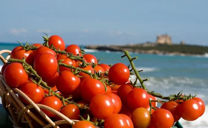 Salmonella e pomodorini? Il Consorzio di Pachino: &laquo;Solo attacchi a un ortaggio che tutto il mondo ci invidia&raquo;