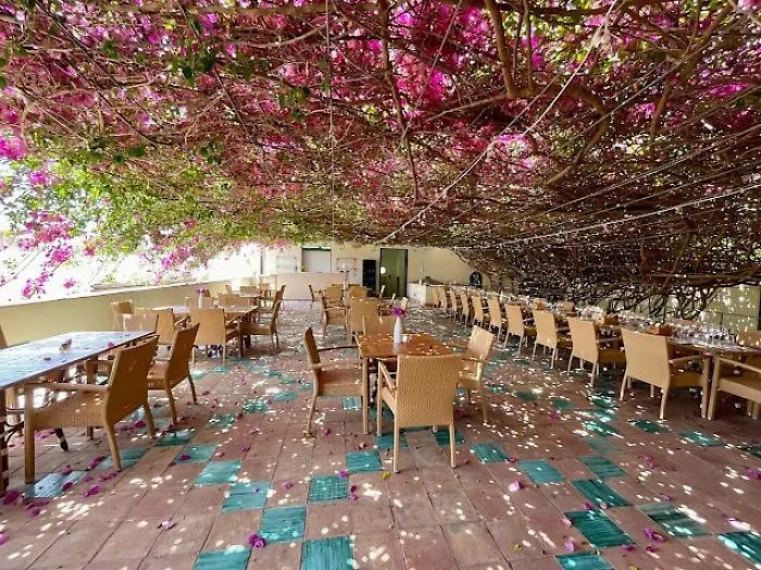 La Bougainvillea di Casa Planeta entra nell'elenco nazionale degli Alberi Monumentali d&rsquo;Italia