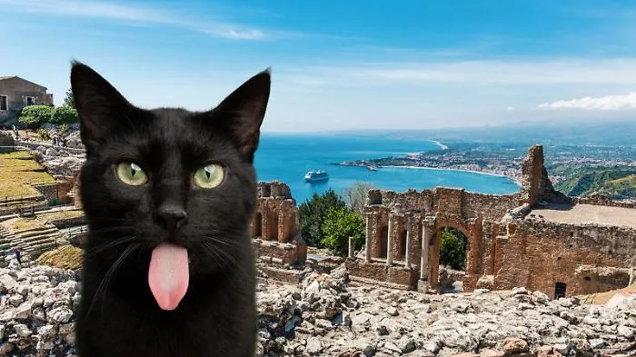 La leggenda di Micio, il gatto nero di Taormina protettore della citt&agrave; 