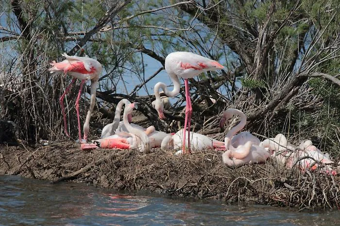 saline di priolo