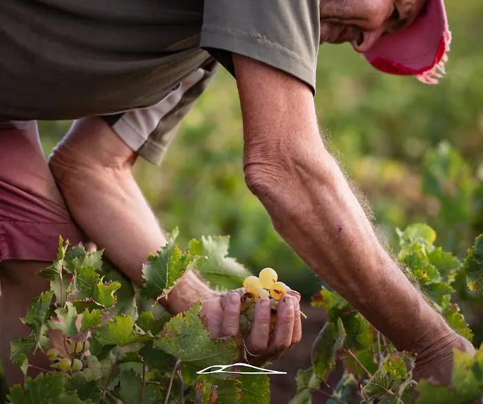 Da Pantelleria alle Colline del Prosecco pi&ugrave; turisti e pi&ugrave; occupazione nei siti Unesco 