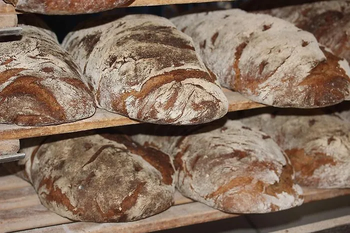 Il cibo e l'alimentazione come strumenti di inclusione e cultura: ad Acireale parte il ciclo di incontri e degustazioni "NutriMenti"