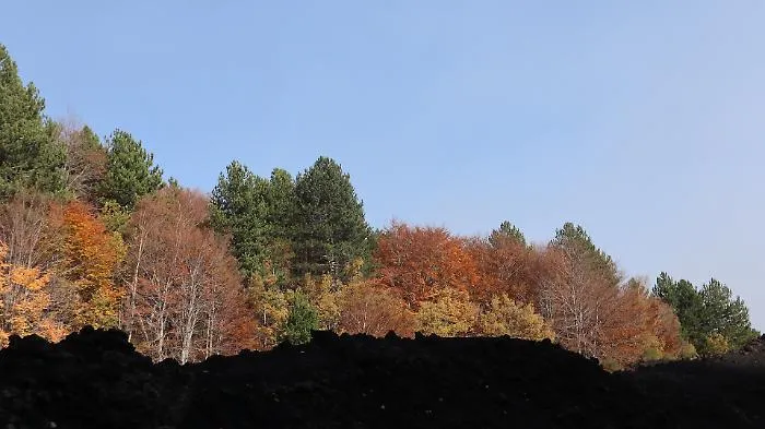 Etna
