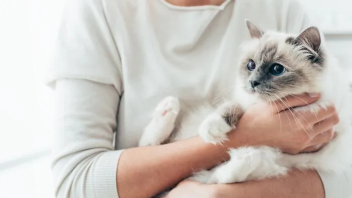  Popolazione in calo e sempre pi&ugrave; vecchia: aumentano le coppie senza figli che hanno animali domestici