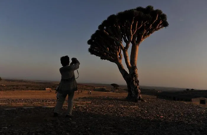 &ldquo;Sospesi tra mare e cielo&rdquo;: come oltre 400 turisti (86 italiani) sono rimasti bloccati a Socotra mentre lo Yemen precipita nella crisi