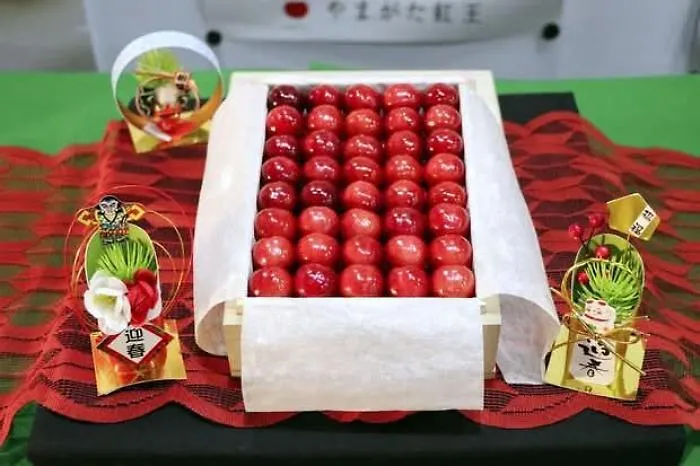 Le ciliegie Sato Nishiki di Yamagata super lusso: battute a 140 euro l'una