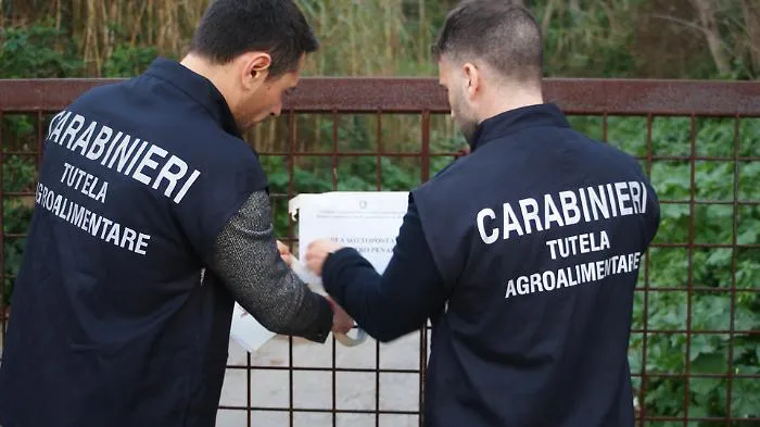 Pascoli fantasma: sequestri per oltre 450.000 euro a quattro allevatori