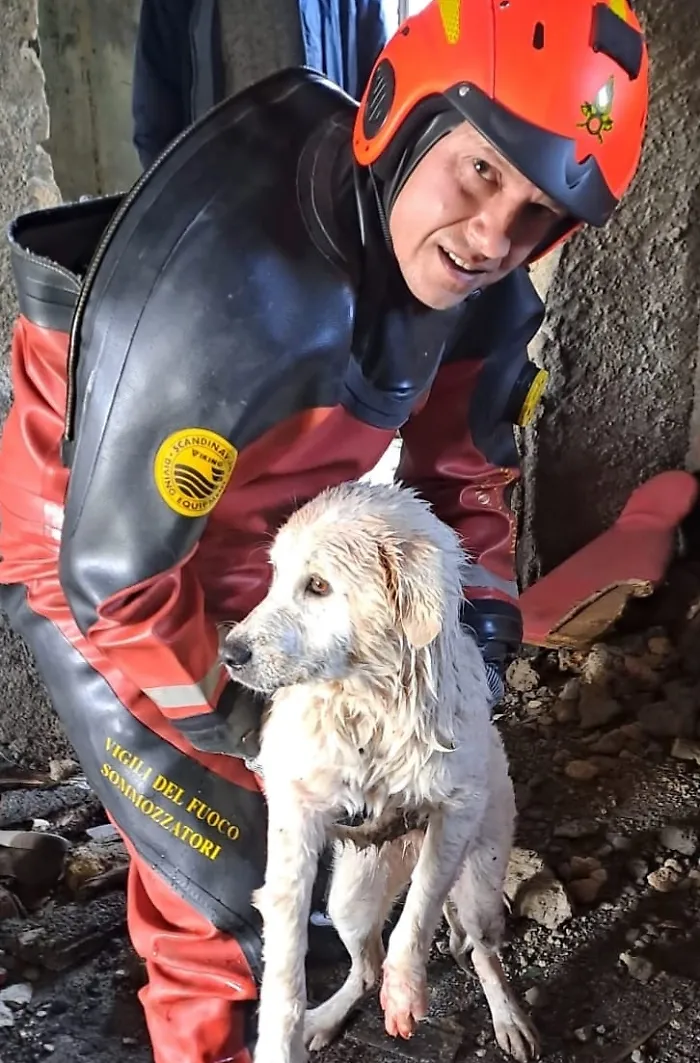 Cane salvato dai sommozzatori dei Vigili del Fuoco di Catania: lieto fine a Vaccarizzo