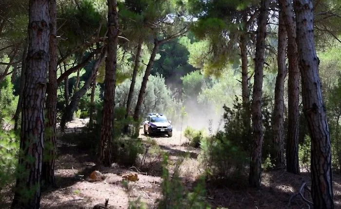 Nebrodi, tre cacciatori trovati senza vita: un triplice enigma nel cuore del bosco