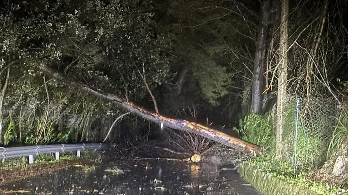 San Martino delle Scale isolata per la caduta di alberi, i residenti: &laquo;Situazione insostenibile, cosa succederebbe in una emergenza?&raquo;