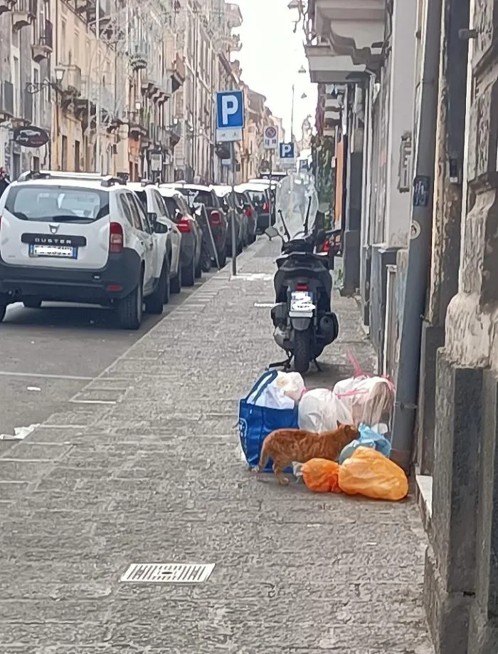 Catania: rifiuti in via Garibaldi